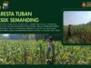 Polri Dukung Astacita, Polsek Semanding Polresta Tuban Turun Cek Tanaman jagung milik Warga di Desa Ngino