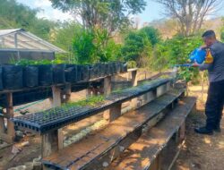 Dukung Ketahanan Pangan Nasional, Bhabinkamtibmas Desa Semamung Sambangi Warga di Demplot Uma Keban