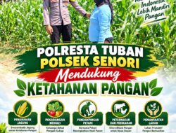 Dukung Program Asta Cita Presiden, Anggota Bhabinkamtibmas Polsek Senori Polresta Tuban Lakukan Pemantauan Tanaman Jagung Warga Desa Wanglukulon