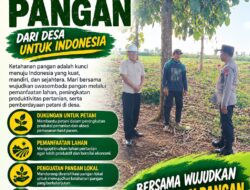 Anggota Polsek Singgahan Polresta Tuban Turun Cek Tanaman jagung Warga di Desa Tingkis