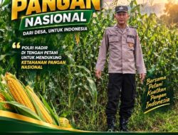Polsek Plumpang Polresta Tuban Turun Langsung Cek Tanaman Jagung Warga