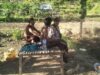 Bhabinkamtibmas Kwangko Dampingi Petani Persiapkan Musim Tanam Jagung