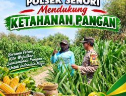 Mendukung Asta Cita Presiden Polisi RW Polsek Senori Polresta Tuban Pantau Kodisi Tanaman Jagung Milik Warga Desa Medalem