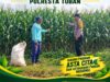 “BHABINKAMTIBMAS DESA SUMBERARUM PANTAU PERTUMBUHAN TANAMAN JAGUNG DI DESA BINAAN”