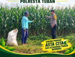 “BHABINKAMTIBMAS DESA SUMBERARUM PANTAU PERTUMBUHAN TANAMAN JAGUNG DI DESA BINAAN”