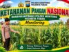Polsek Montong Polresta Tuban Turun Cek Tanaman jagung Warga di Desa Pakel