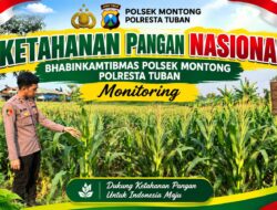 Polsek Montong Polresta Tuban Turun Cek Tanaman jagung Warga di Desa Pakel