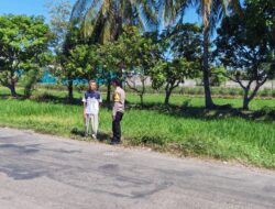 Dukung Ketahanan Pangan Nasional, Bhabinkamtibmas Desa Orong Bawa Sambangi Petani dan Cek Langsung Proses Panen