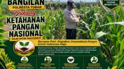 Dukung Ketahanan Pangan Nasional, Polsek Bangilan Aktif Dampingi Petani Jagung