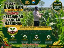 Dukung Ketahanan Pangan Nasional, Polsek Bangilan Aktif Dampingi Petani Jagung