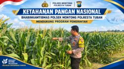 Polsek Montong Polresta Tuban Turun Cek Tanaman jagung Warga di Desa Pucangan
