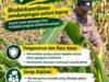Dukung Ketahanan Pangan Nasional, Polsek Bangilan Aktif Dampingi Petani Jagung