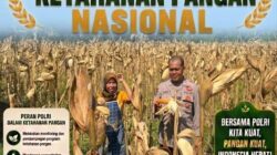 Personel Polsek Bancar Pantau Panen Jagung Warga di Desa Tergambang Tuban