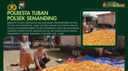 Polri Dukung Astacita, Polsek Semanding Polresta Tuban Turun Cek Tanaman jagung milik Warga di Desa Semanding