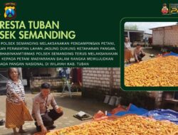 Polri Dukung Astacita, Polsek Semanding Polresta Tuban Turun Cek Tanaman jagung milik Warga di Desa Semanding