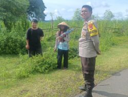 Bhabinkamtibmas Sorinomo Dorong Warga Rawat Tanaman Jagung dan Manfaatkan Pekarangan Dukung Ketahanan Pangan