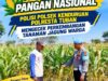 Dukung Astacita, Polmas Polsek Kenduruan Polresta Tuban Cek Perkembangan Tanaman Jagung Warga