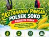 Polsek Soko Polresta Tuban Turun Langsung Cek Tanaman Jagung Warga