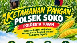 Polsek Soko Polresta Tuban Turun Langsung Cek Tanaman Jagung Warga