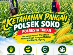 Polsek Soko Polresta Tuban Turun Langsung Cek Tanaman Jagung Warga