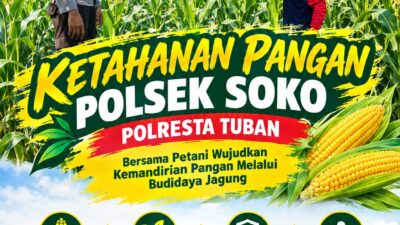 Polsek Soko Polresta Tuban Turun Langsung Cek Tanaman Jagung Warga