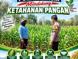 Anggota Bhabinkamtibmas Polsek Senori Polresta Tuban Lakukan Pemantauan Tanaman Jagung Dukung Program Ketahanan Pangan
