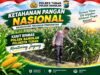 Dukung Ketahanan Pangan Nasional, Polsek Bangilan Monitoring Tanaman Jagung