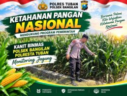 Dukung Ketahanan Pangan Nasional, Polsek Bangilan Monitoring Tanaman Jagung