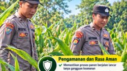 Mendukung Program Ketahanan Pangan, Bhabinkamtibmas Monitoring Pertumbuhan Jagung