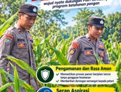 Mendukung Program Ketahanan Pangan, Bhabinkamtibmas Monitoring Pertumbuhan Jagung