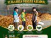 POLSEK KEREK POLRESTA TUBAN MONITORING HASIL PANEN JAGUNG, WUJUDKAN DUKUNGAN KETAHANAN PANGAN NASIONAL
