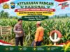 Polsek Montong Polresta Tuban Turun Cek Tanaman jagung Warga di Desa Ngulahan