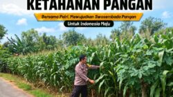 Polsek Tuban Pantau Lahan Jagung Warga, Dukung Ketahanan Pangan Berkelanjutan