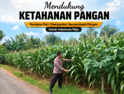 Polsek Tuban Pantau Lahan Jagung Warga, Dukung Ketahanan Pangan Berkelanjutan