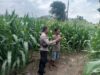 Dukung Ketahanan Pangan Nasional, Bhabinkamtibmas Desa Poto Sambangi Lahan Pertanian Warga dan Dorong Pengembangan Hortikultura