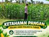 Polsek Soko Polresta Tuban Turun Langsung Cek Tanaman Jagung Warga