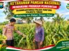 Polsek Montong Polresta Tuban Turun Cek Tanaman jagung Warga di Desa Bringin