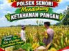 Bhabinkamtibmas Polsek Senori Polresta Tuban Pantau Tanaman Jagung Warga Desa Leran Guna Dukung Ketahanan Pangan Nasional