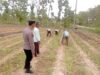 Dukung Ketahanan Pangan Nasional, Bhabinkamtibmas Polsek Tambakboyo Dampingi Petani Olah Lahan