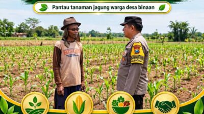 “POLSEK KEREK POLRESTA TUBAN LAKUKAN PEMANTAUAN TANAMAN JAGUNG WARGA BINAAN”