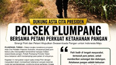 Polsek Plumpang Polresta Tuban Turun Langsung Cek Tanaman Jagung Warga