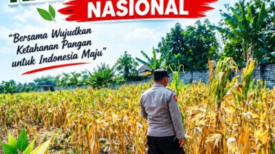 Polri Dukung Astacita, Polsek Semanding Polresta Tuban Turun Cek Tanaman jagung milik Warga di Desa Bektiharjo