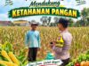 Anggota Bhabinkamtibmas Polsek Senori Polresta Tuban Turun ke Ladang Bantu Warga Desa Jatisari Panen Jagung
