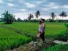 Dukung Ketahanan Pangan Nasional, Bhabinkamtibmas Desa Lekong Sambangi Petani dan Dorong Pemanfaatan Lahan Produktif