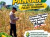 Polri Dukung Astacita, Polsek Semanding Polresta Tuban Turun Cek Tanaman jagung milik Warga di Desa Penambangan
