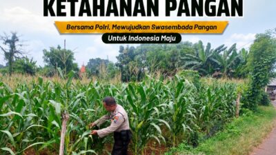 Polsek Tuban Pantau Lahan Jagung, Dukung Ketahanan Pangan Nasional