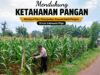 Polri Dukung Astacita, Polsek Merakurak Polres Tuban Turun Cek Tanaman Jagung Warga di Desa Tuwiri Wetan