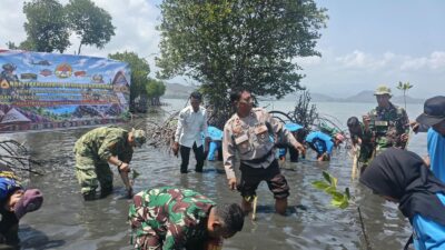 Sinergi TNI-Polri dan Pelajar Tanam Mangrove Serentak di Pulau Kaung, Cegah Abrasi Pesisir Pantai