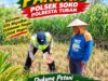Polri Dukung Astacita, Polsek Merakurak Polres Tuban Turun Cek Tanaman Jagung Warga di Desa Tuwiri Wetan