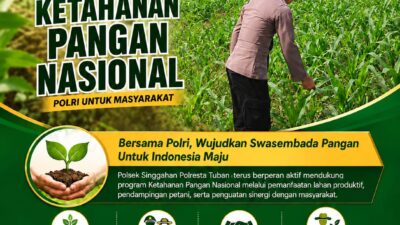 Anggota Polsek Singgahan Polresta Tuban Turun Cek Tanaman jagung Warga di Desa Mulyoagung
